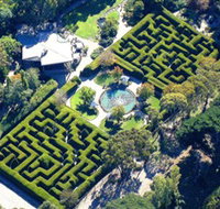Ashcombe Maze  Lavender Gardens - Accommodation Tasmania