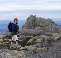 Mount Buffalo National Park - Accommodation Tasmania