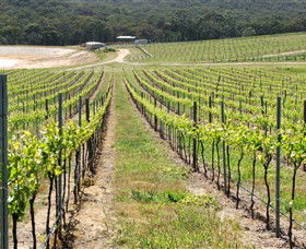M Chapoutier Australia - Accommodation Tasmania 0