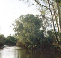 Banksia Park - Accommodation Tasmania