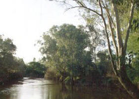 Banksia Park - Accommodation Tasmania 0