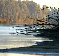 Barmah National Park - Accommodation Tasmania