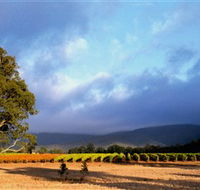 Mount Avoca - Accommodation Tasmania