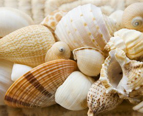 Anglesea Beach Club - Accommodation Tasmania 0