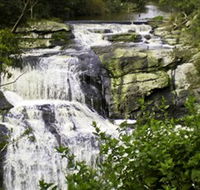 Agnes Falls Scenic Reserve - Accommodation Tasmania