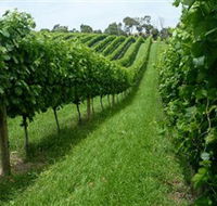 The Cups Estate - Accommodation Tasmania