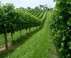 The Cups Estate - Accommodation Tasmania 0