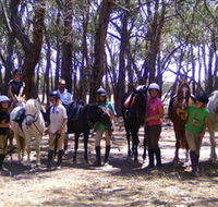Bellarine Horse Riding Centre - Accommodation Tasmania