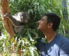 Healesville Sanctuary - Accommodation Tasmania 0