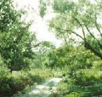 Holey Plains State Park - Accommodation Tasmania
