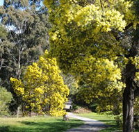 Wattle Park - Accommodation Tasmania
