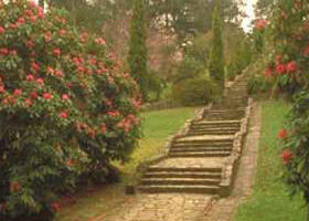 Maroondah Reservoir Park - Accommodation Tasmania 0