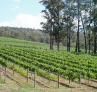 Piedmont Vineyard - Accommodation Tasmania