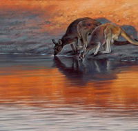 Steve Morvell Wildlife Art - Accommodation Tasmania
