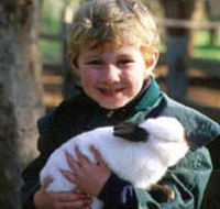 Maribyrnong Valley Parklands - Accommodation Tasmania