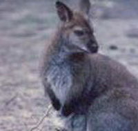 Churchill National Park - Accommodation Tasmania