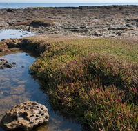 Ricketts Point Marine Sanctuary - Accommodation Tasmania