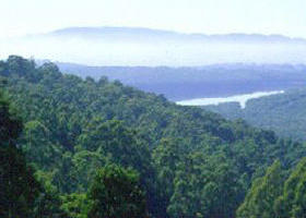 Kalorama Park - Accommodation Tasmania 0