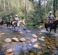Howqua Hills Historic Area - Accommodation Tasmania