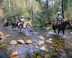 Howqua Hills Historic Area - Accommodation Tasmania 0