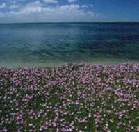 The Lakes National Park - Accommodation Tasmania