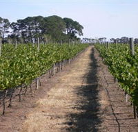 Mount Beckworth Wines - Accommodation Tasmania
