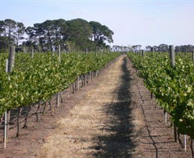 Mount Beckworth Wines - Accommodation Tasmania 0