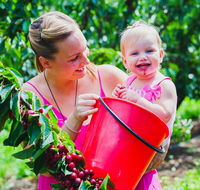 Cherryhill Orchards - Accommodation Tasmania