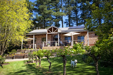 Main Ridge Estate - Accommodation Tasmania 2
