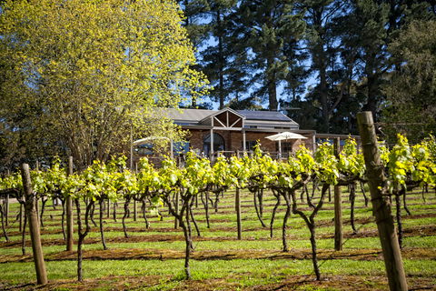 Main Ridge Estate - Accommodation Tasmania 3