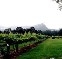 Cambewarra Estate Wines - Accommodation Tasmania
