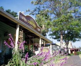 South Coast NSW Accommodation Tasmania