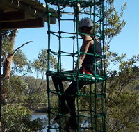 Trees Adventure Shoalhaven - Accommodation Tasmania