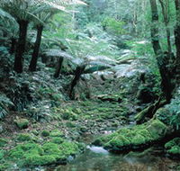Deua National Park - Accommodation Tasmania