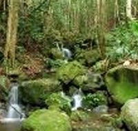 Budderoo National Park - Accommodation Tasmania