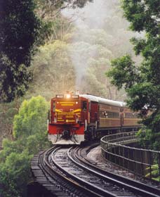Cockatoo Run - Scenic Tour Train Operated By 3801 Limited - Accommodation Tasmania 0