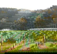 Tilba Valley Wines - Accommodation Tasmania