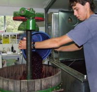 Fern Gully Winery - Accommodation Tasmania