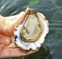 The Oyster Pot - Accommodation Tasmania