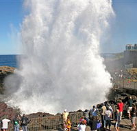 Kiama Blowhole - Accommodation Tasmania