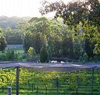 Lyrebird Ridge Organic Winery - Accommodation Tasmania