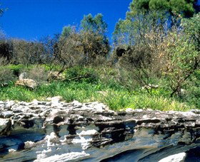 Abrahams Bosom Reserve - Accommodation Tasmania 0