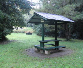 Pine Creek State Forest - Accommodation Tasmania 0