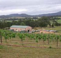 Villa d Esta Vineyard - Accommodation Tasmania