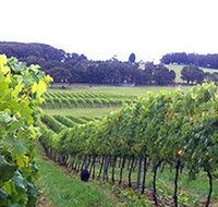 Banjo's Run Winery and Vineyard - Accommodation Tasmania