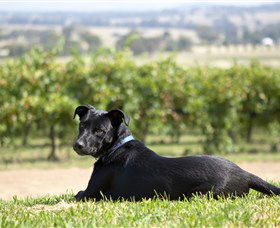  Accommodation Tasmania