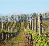 Philip Shaw Wines - Accommodation Tasmania