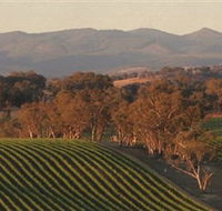 Angullong Wines - Accommodation Tasmania