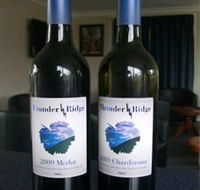 Thunder Ridge Wines - Accommodation Tasmania