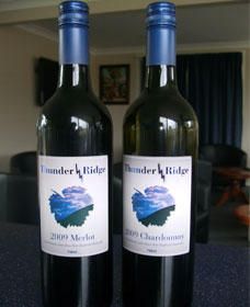 Thunder Ridge Wines - Accommodation Tasmania 0